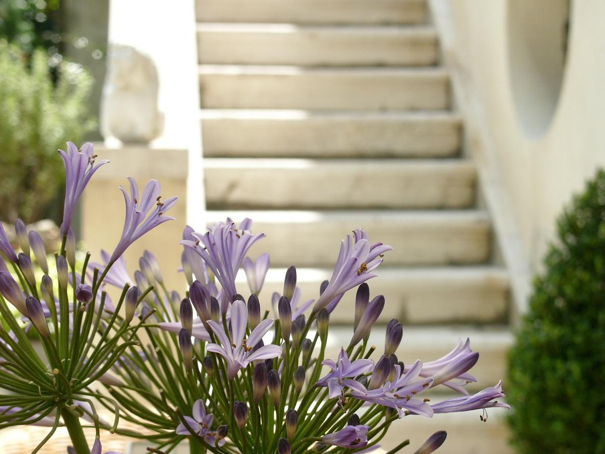 Primaluce Bed & Breakfast Venice Luaran gambar